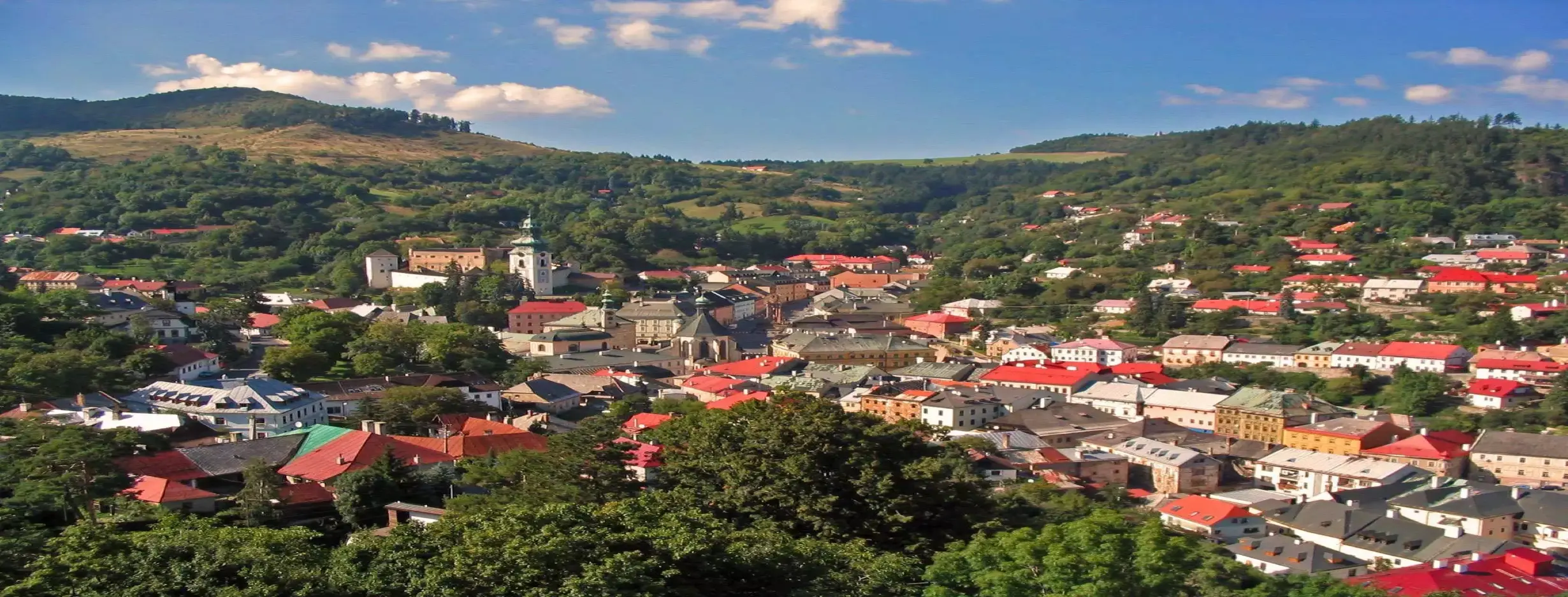 Image for Mining Town